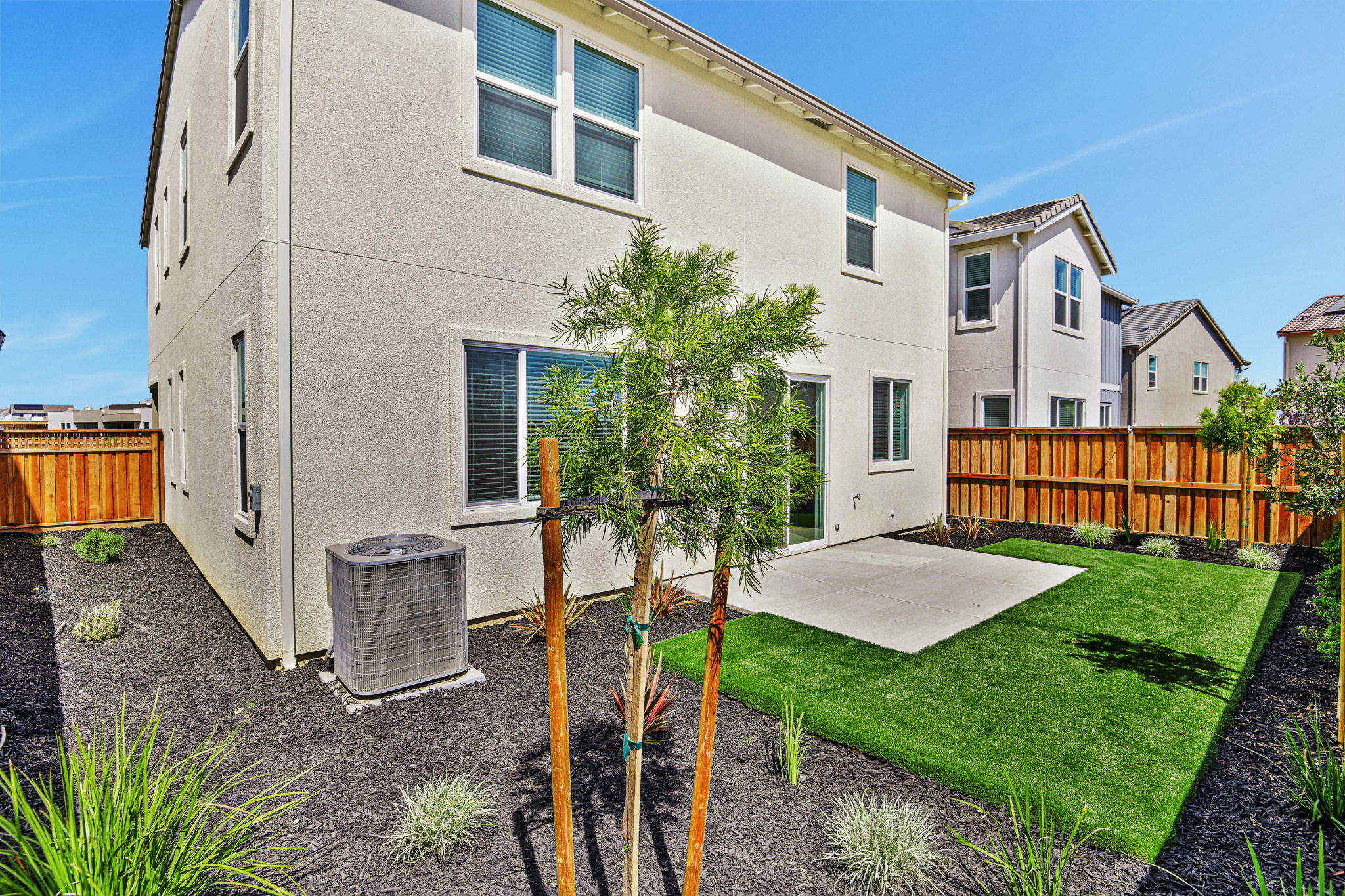 A backyard with a tree and a fence.