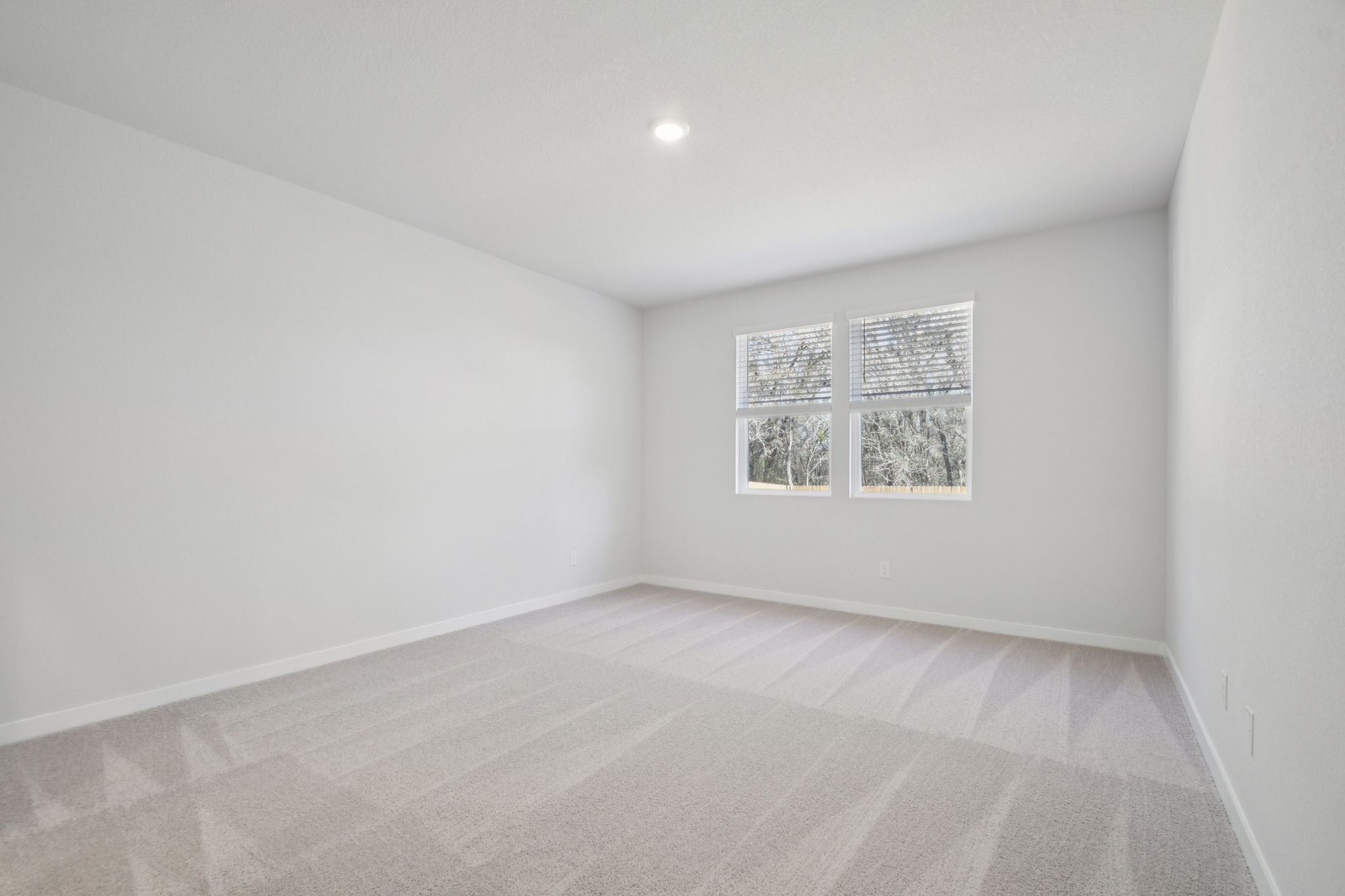 A room with a rug and a window.