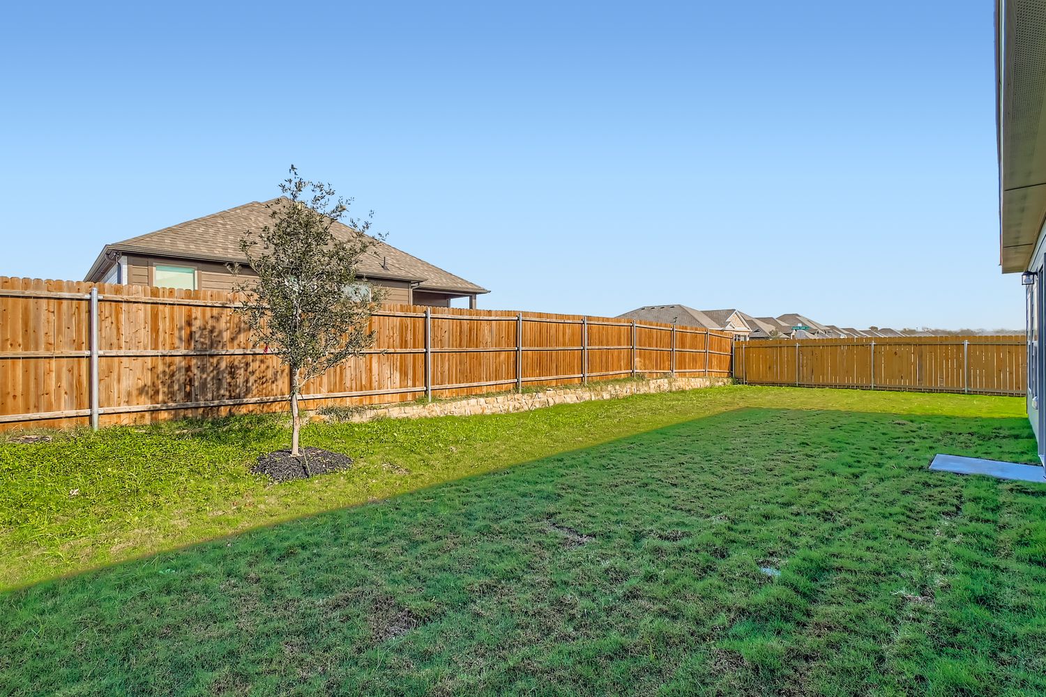 A fenced in yard with a tree and a house in the background.