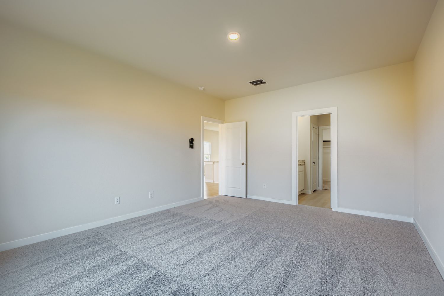 A room with a carpet and doors.
