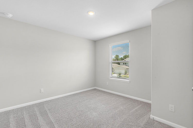 A room with a window and a carpet.