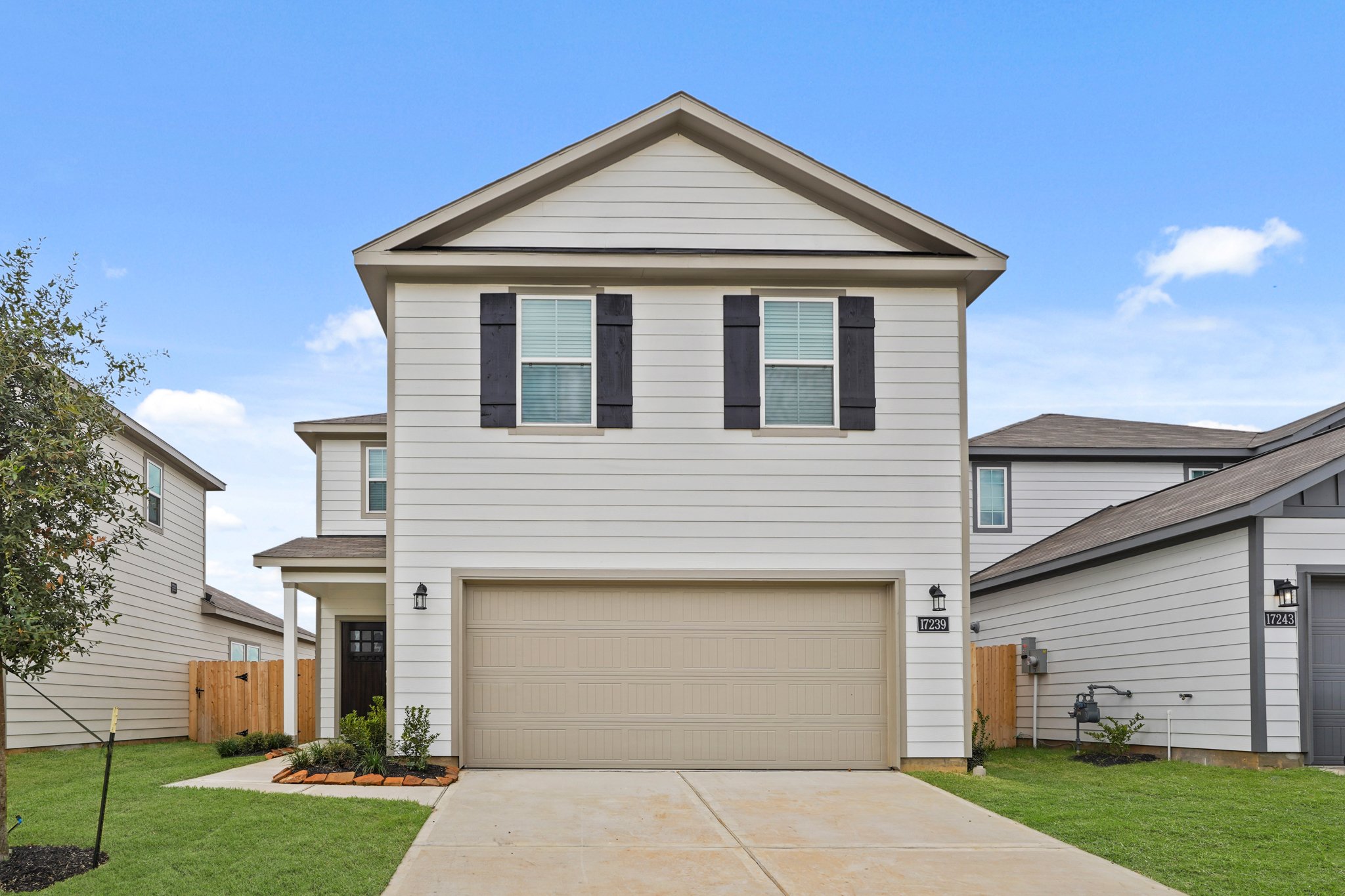 020222 17239 King Eider Road