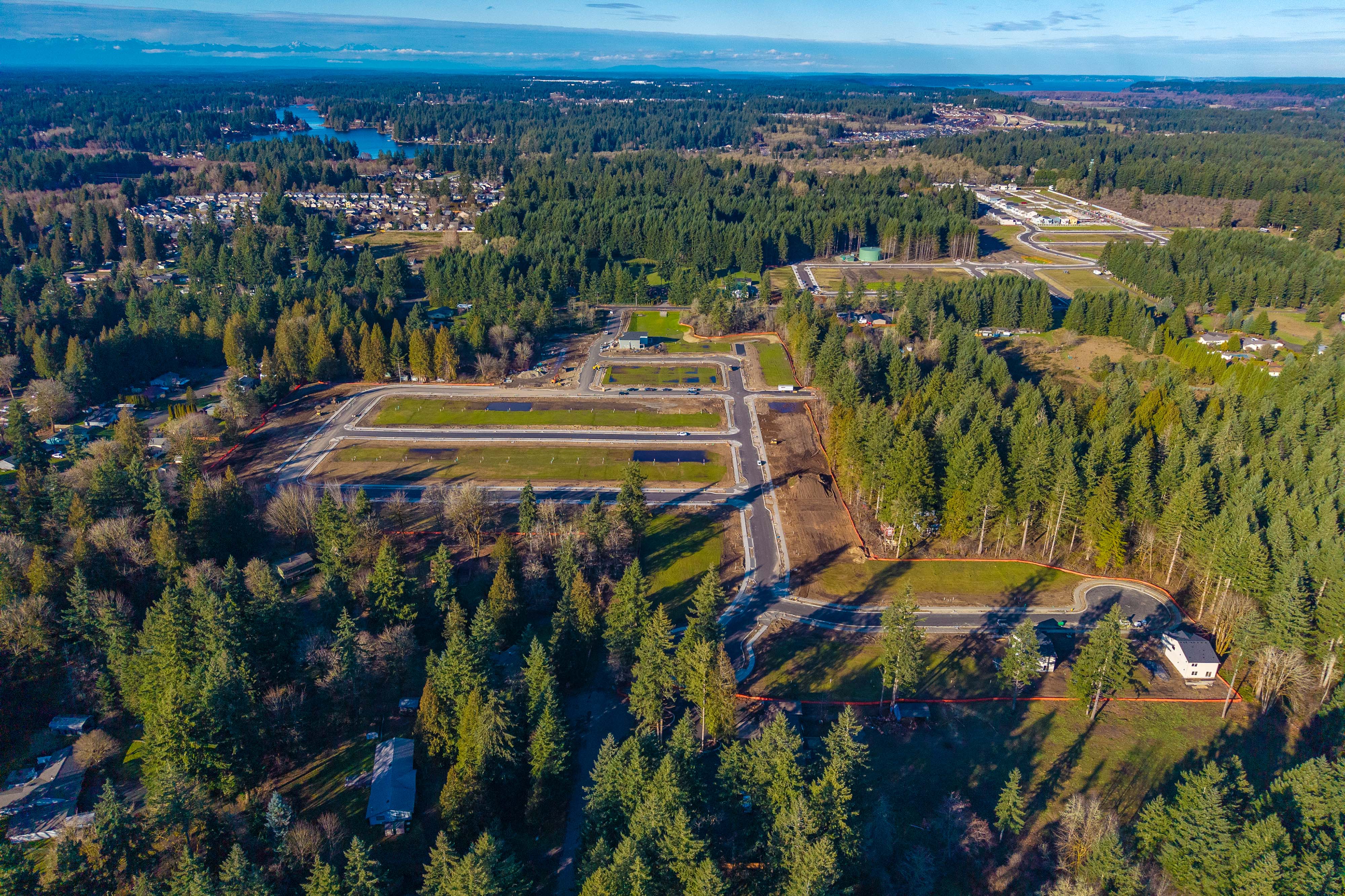 A landscape with trees and buildings.
