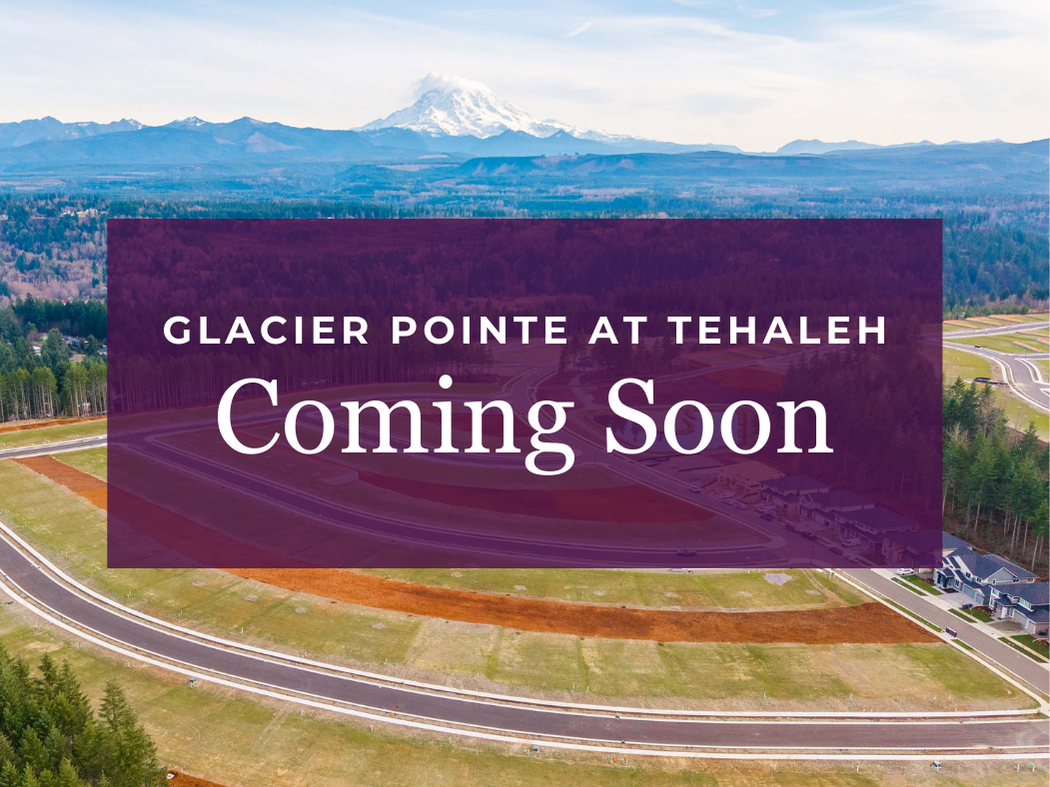 A road with a mountain in the background.