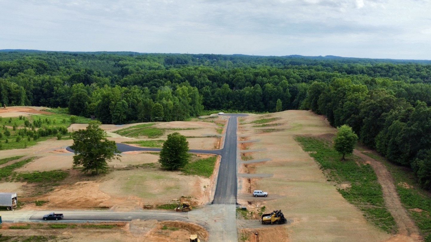 A road with trees and grass.